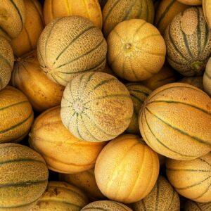 Melón Cantalupo
