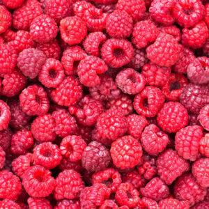 Frambuesas Orgánicas
